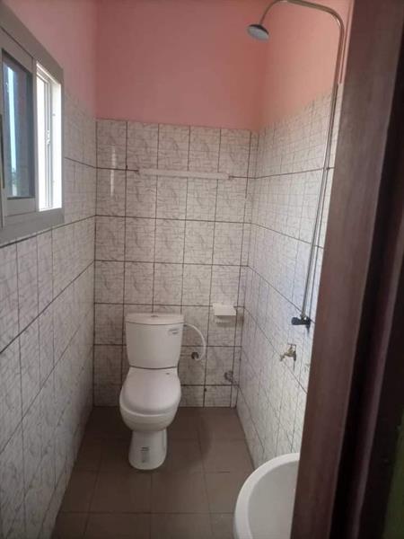 Appartement Et Studios Neuf À Awae Nkolanga 