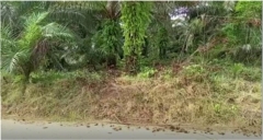 Terrains Titrés Et Lottis À Vendre - Missole 1 Et Missole 2 (Dibamba),, Douala, Immobilier au Cameroun