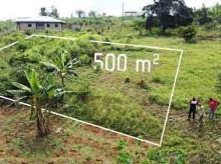 Terrain Titré Et Loti À Vendre À Nkometou 1.5 Km De La Rroute Prrincipal 