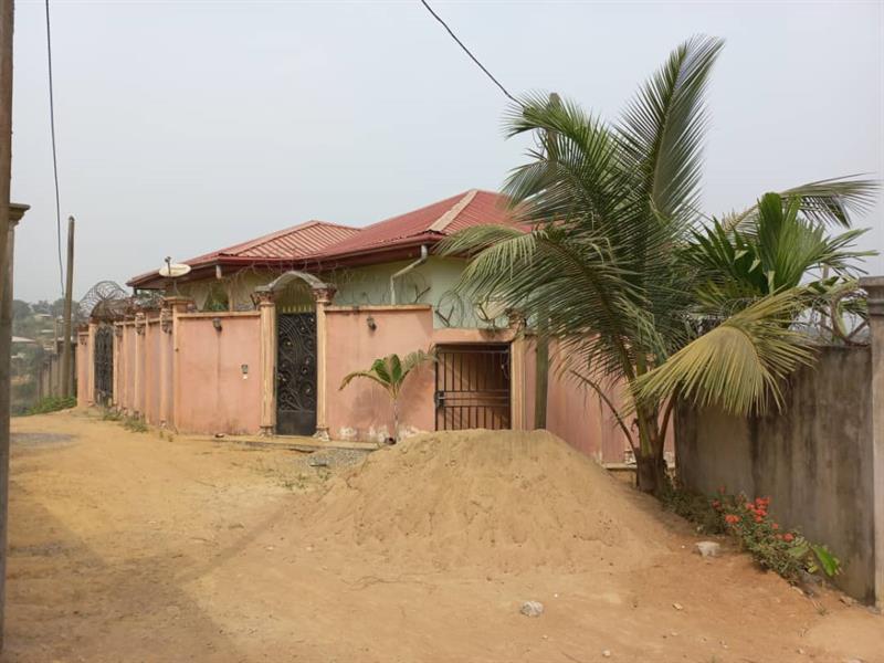 Villa À Louer À Douala 