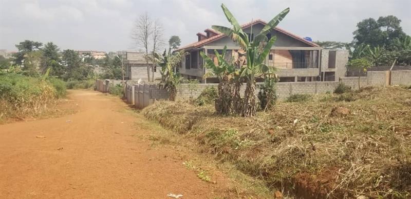 A Vendre Terrain Titré De 400M2 À Olembe 