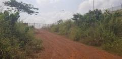 A Vendre Terrain Titré De 400M2 À Olembe,, Yaoundé, Immobilier au Cameroun