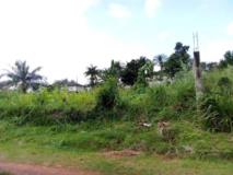 Terrain Titré À Mvan Complexe Beac À Vendre,, Yaoundé, Immobilier au Cameroun