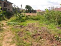 Terrain Titré À Vendre À Awae Iai,, Yaoundé, Immobilier au Cameroun