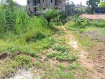 Terrain Titré À Vendre À Awae Iai,, Yaoundé, Immobilier au Cameroun