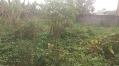 Terrain Plat Titré À Vendre À Awae Ewankan Sur 314 M2,, Yaoundé, Cameroon Real Estate