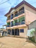 Appartement Avec Parking Forage À Emana,, Yaoundé, Cameroon Real Estate