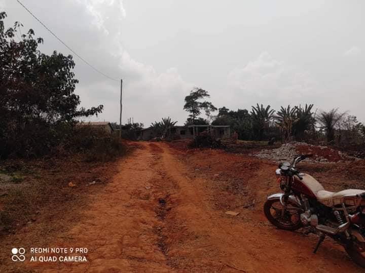 Terrain Titré Et Loti À Vendre À Nkoabang Lada 