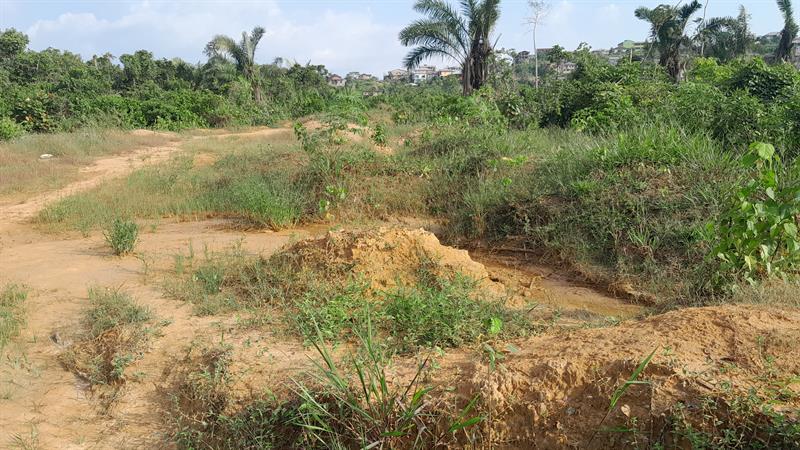 Terrain À Vendre Logbessou 