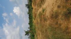 Terrain Titré Japoma 500M2,, Douala, Immobilier au Cameroun