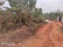 Terrain Titré Et Loti À Vendre À Nkoabang Lada,, Yaoundé, Immobilier au Cameroun