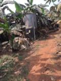 Ferme Moderne Prete À L Emploi À Vendre À Eloumdem Bordure De Route,, Yaoundé, Immobilier au Cameroun