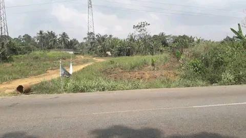 Terrain Agricole En Bordure De L'axe Lourd Yaounde-Douala En Cours D'immatriculation Et Non-Titré À Vendre À Makondo 