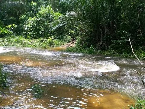 Terrain Agricole En Bordure De L'axe Lourd Yaounde-Douala En Cours D'immatriculation Et Non-Titré À Vendre À Makondo 