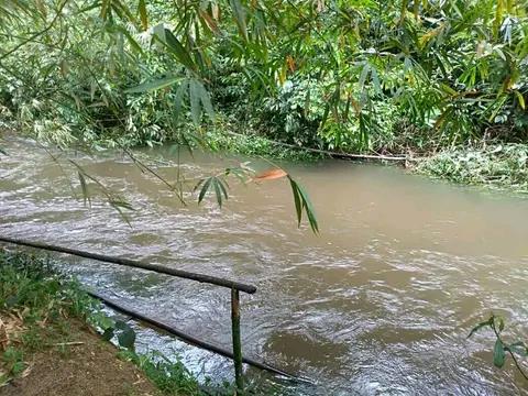 Terrain Agricole En Bordure De L'axe Lourd Yaounde-Douala En Cours D'immatriculation Et Non-Titré À Vendre À Makondo 