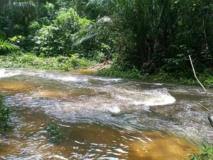 Terrain Agricole En Bordure De L'axe Lourd Yaounde-Douala En Cours D'immatriculation Et Non-Titré À Vendre À Makondo,, Édéa, Cameroon Real Estate