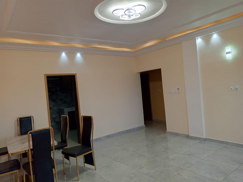 Appartement Neuf Avec Prépayé Forage Parking À Yassa Douala 