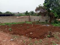 Terrain Titreé À Vendre À Nkoabang 10Eme Arret En Bordure De Goudron Secondaire,, Yaoundé, Immobilier au Cameroun