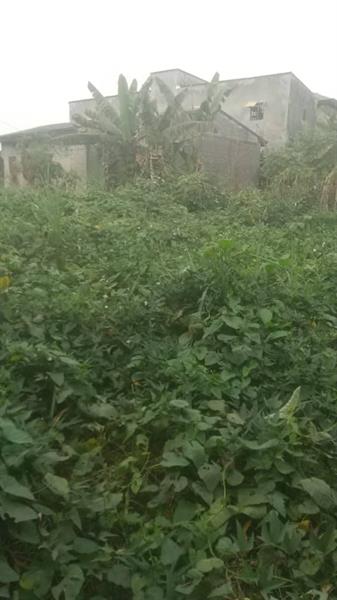 Terrain Plat Titré À Vendre À Awae Ewankan Au Carrefour M Le Maire 