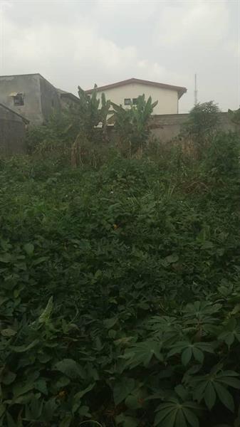 Terrain Plat Titré À Vendre À Awae Ewankan Au Carrefour M Le Maire 