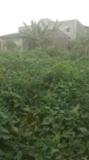 Terrain Plat Titré À Vendre À Awae Ewankan Au Carrefour M Le Maire,, Yaoundé, Immobilier au Cameroun