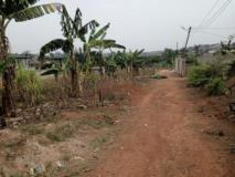 Terrain Titré À Vendre À Nkoabang Entrée Carrière,, Yaoundé, Cameroon Real Estate
