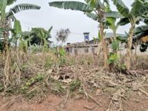 Terrain Titré À Vendre À Nkoabang Entrée Carrière,, Yaoundé, Immobilier au Cameroun