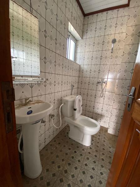 Magnifique Appartement Neuf Avec Parking Externe Forage À Biyemassi 