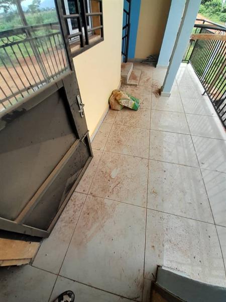 Appartement Neuf À Nkolfoulou 