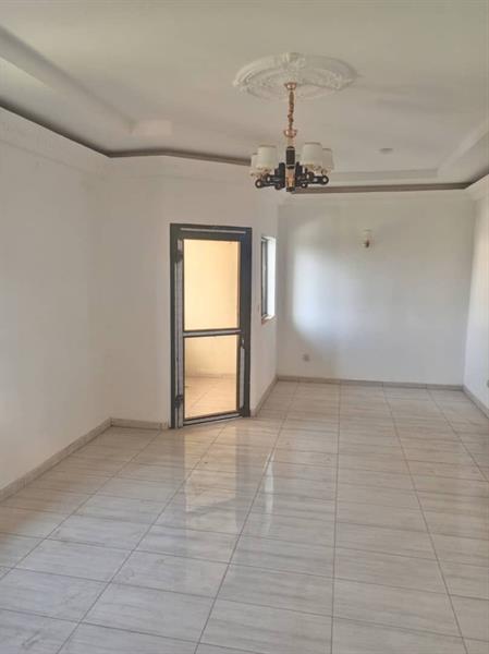 Appartement Et Studio Pour Bureaux Avec Eau Chaude Gardien Parking À Bastos 