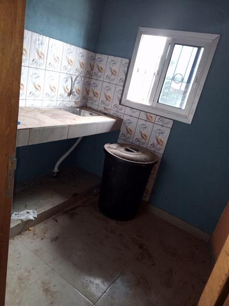 Bel Appartement Neuf Avec Parking Forage À Nkoabang 