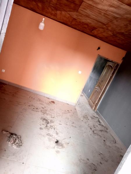 Bel Appartement Neuf Avec Parking Forage À Nkoabang 