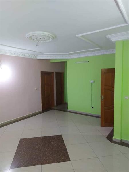 Appartement Neuf Avec Parking Forage À Odza Minkann 