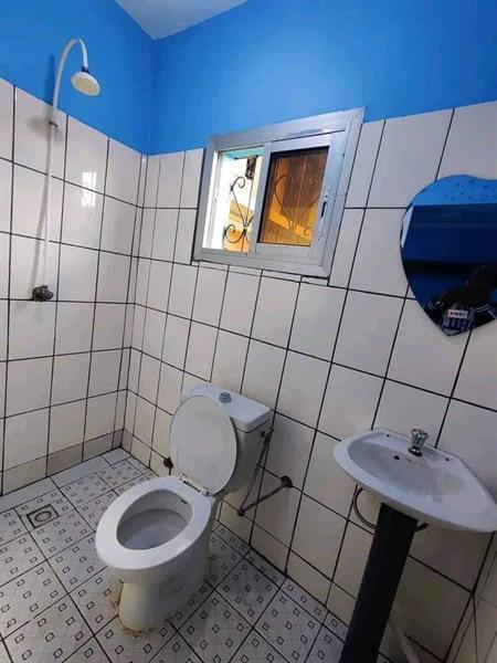 Studio À Louer À Ngousso Pharmacie Bleue Avec Parking Forage 