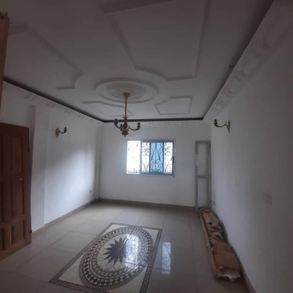 Appartement Et Studio Neuf À Louer À Nkoabang 