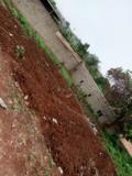 Terrain Titré À Vendre À Nkoabang 10Eme Arret En Bordure De Goudron Secondaire,, Yaoundé, Immobilier au Cameroun