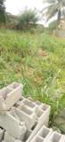 Terrain Titré Plat À Vendre À Nkoabnag Itambe,, Yaoundé, Immobilier au Cameroun