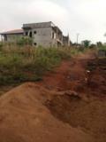 Terrain Titré À Vendre À Tsinga Village,, Yaoundé, Immobilier au Cameroun