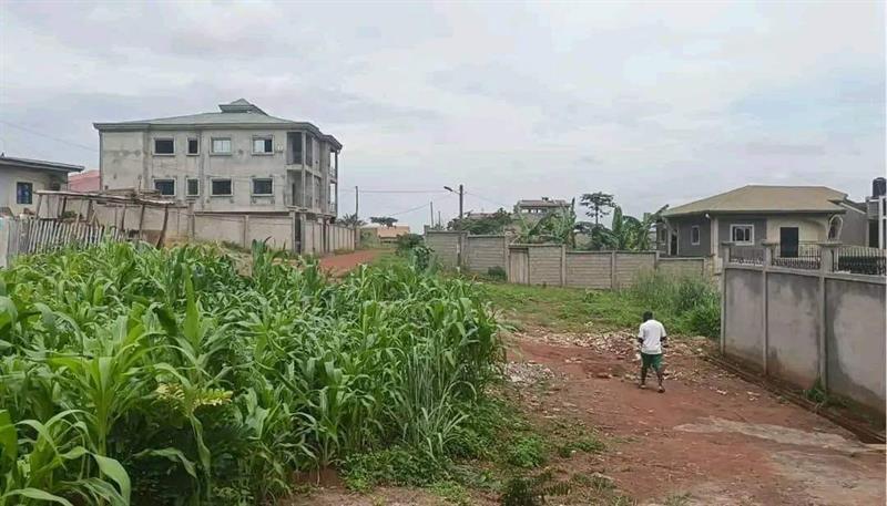 Terrain Titré À Vendre À Nkoabang 10Eme Arret 
