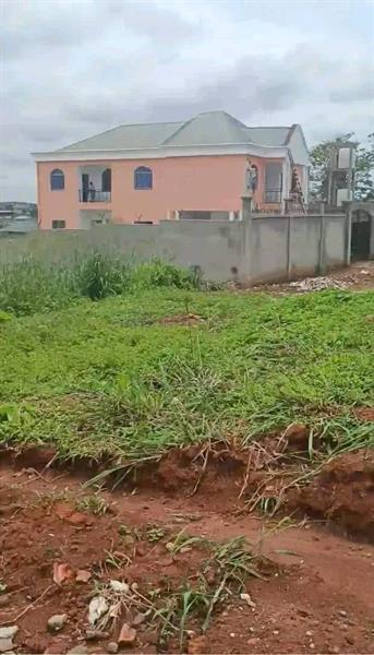 Terrain Titré À Vendre À Nkoabang 10Eme Arret 