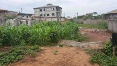 Terrain Titré À Vendre À Nkoabang 10Eme Arret,, Yaoundé, Immobilier au Cameroun