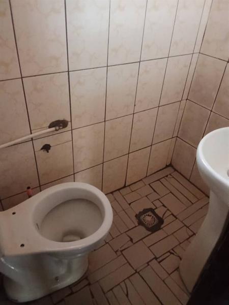 Magnifique Appartement Propre À Louer À Damas 