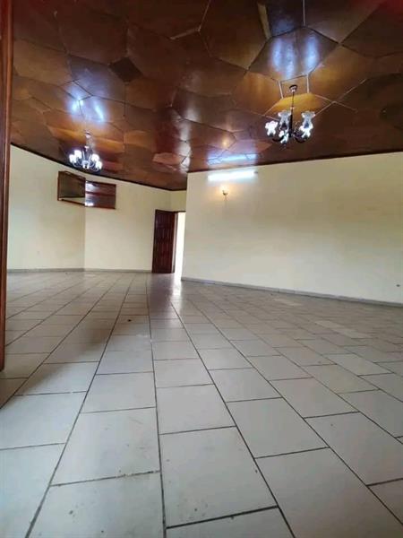 Vaste Appartement Individuel À Louer À Emana 