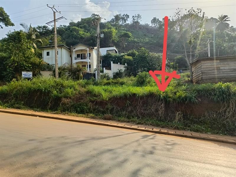 Une Offre En Or Au Golf Parcours Vita Terrain Angle Titré À Vendre 