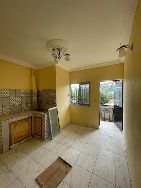 Appartement Et Studio Neuf À Louer À Santa Barbara 