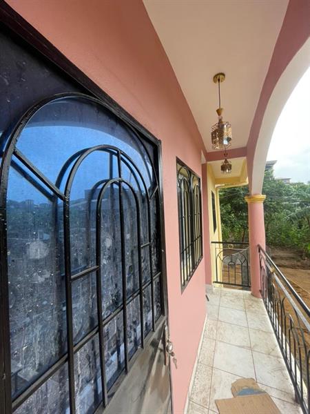 Appartement Et Studio Neuf À Louer À Santa Barbara 
