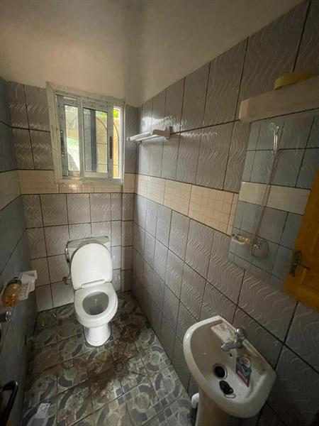 Appartement Et Studio Neuf À Louer À Santa Barbara 