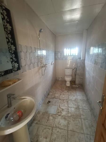 Bel Appartement Neuf À Louer À Tsinga Village 