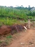 Terrain Titrée À Vendre À Febe Village Chez Le Gouverneur,, Yaoundé, Immobilier au Cameroun