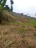 Terrain Titrée À Vendre À Febe Village Chez Le Gouverneur,, Yaoundé, Cameroon Real Estate